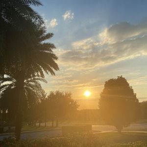 Meet your Posher, Luisa